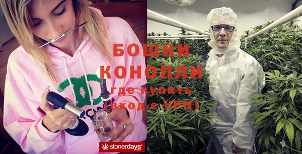 молекула духа Заволжск