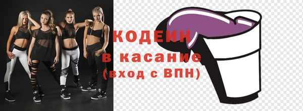 ПСИЛОЦИБИНОВЫЕ ГРИБЫ Заволжье