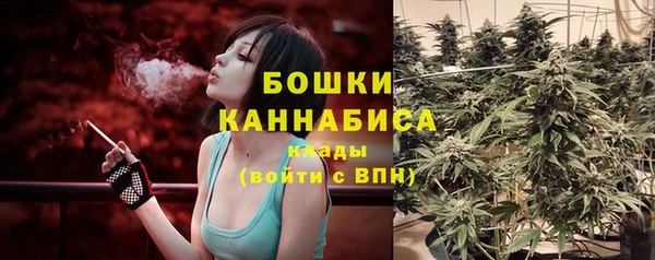 дживик Заводоуковск