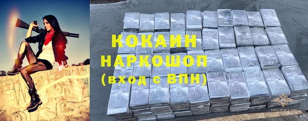 ПСИЛОЦИБИНОВЫЕ ГРИБЫ Заволжье