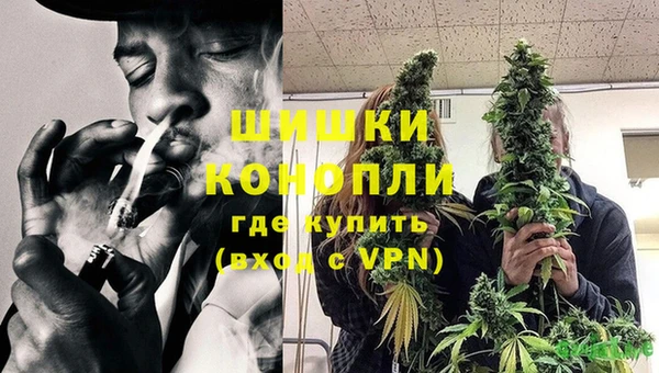 дживик Заводоуковск