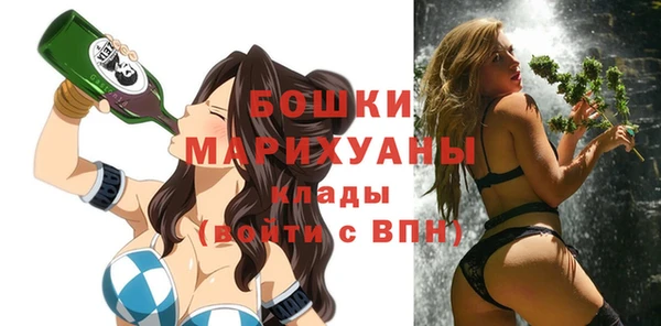 дживик Заводоуковск