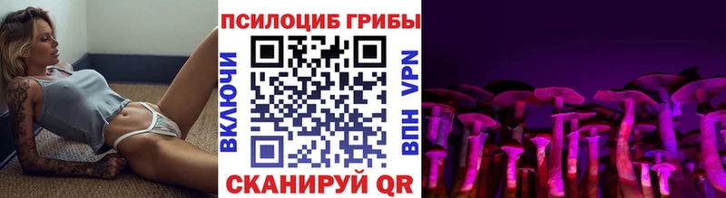Галлюциногенные грибы Psilocybine cubensis  Ивангород 